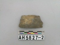 藏品(磨製石器殘件)的圖片